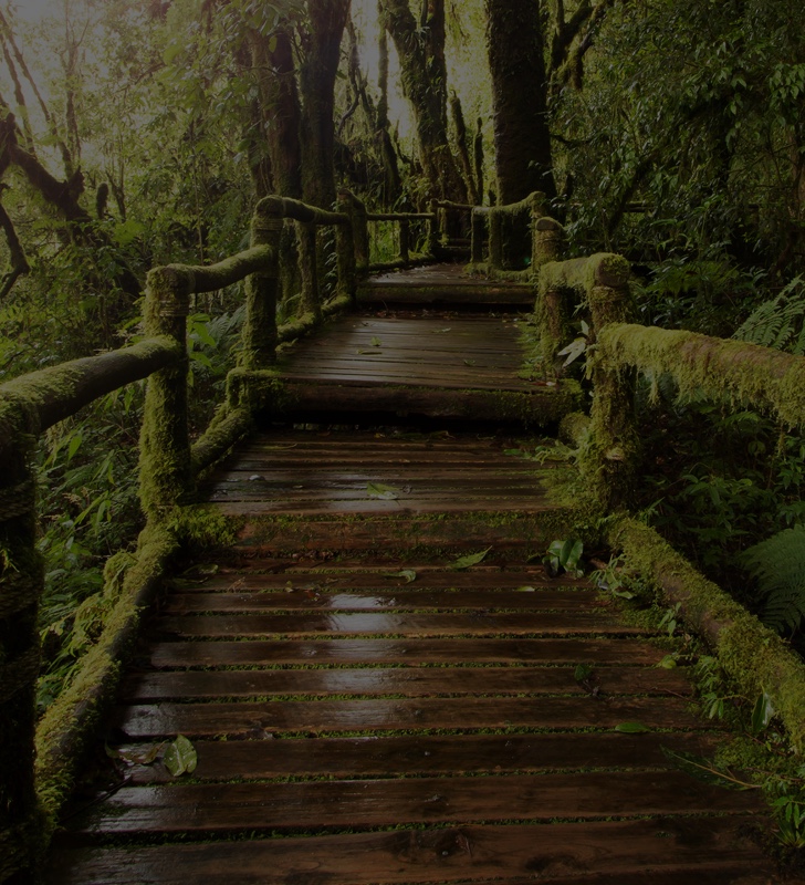 Ecosystem mentoring/coaching